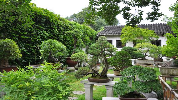 留園+西園寺猩咖說|含入場門票|獨立包團|文史大咖3小時深度趣講