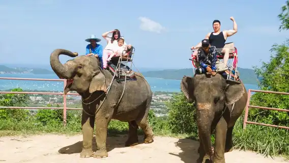 【布吉批發】布吉島大佛打彩彈|騎大象|ATV越野車|飛索