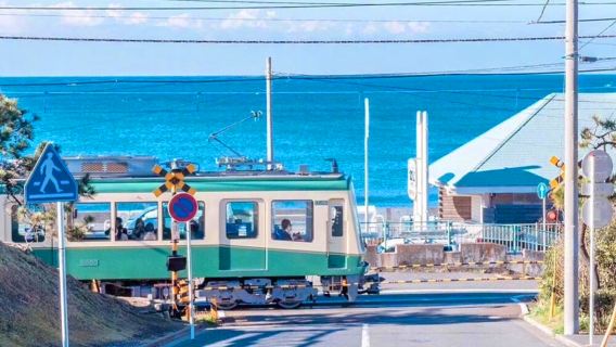 Kamakura ancient city one-day tour with 'Slam Dunk' pilgrimage and Enoshima Electric Railway. Upgrade to a 9-person small group.
