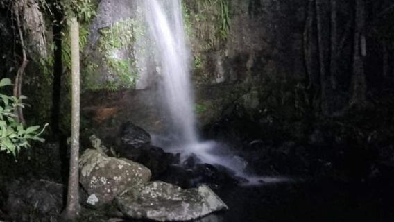 TamborineTours