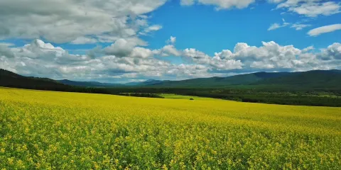 滿洲里國門景區+巴爾虎蒙古部落民俗旅遊度假景區一日遊
