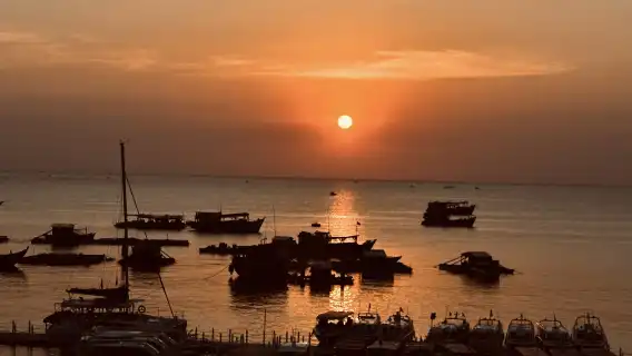 越南富國島夜釣墨魚【跟團行程|包含接駁和簡餐|提供工具