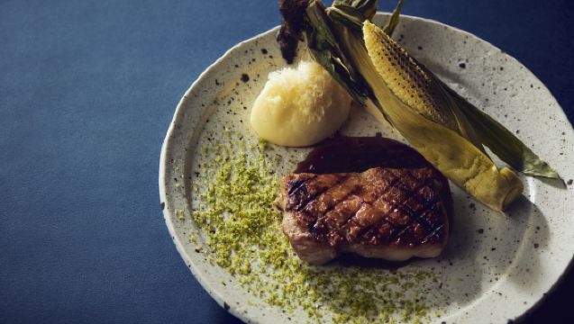 [THE GARDEN SAPPORO HOKKAIDO GRILLE] Hokkaido Wagyu Course meal coupons 2 choices