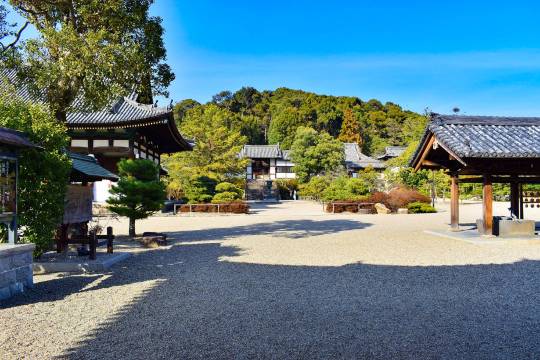睿福寺+富田林市+太子山公園（太子町）+南向山 西方院一日遊