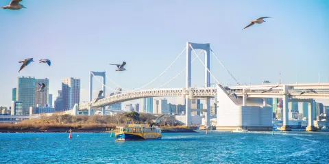 東京周邊自選包車【鎌倉/橫濱/伊豆/箱根/輕井澤/日光】