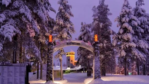 Ranua Wildlife Park + Rovaniemi senior Village 1-day tour[Private private charter]