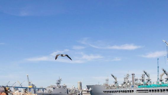 Hafen von San Diego: 2-stündige Bootsfahrt mit Live-Reiseleitung