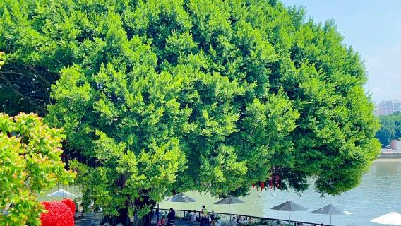 ซานฟาง ชีเซียง ซ่างเซียหาง + สวนจัวไห่ + พิพิธภัณฑ์ฝูเจี้ยน + เกาะแห่งความรัก|รถเช่าเหมา 1 วันในภาษาจีนและภาษาอังกฤษ