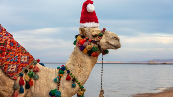fietsen langs de Sousse-rivier vanuit Agadir, Marokko (ophalen en afzetten bij hotel)