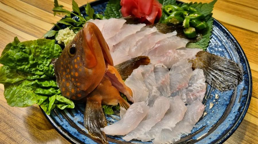 珠海專業釣魚艇出海海釣4/10小時【專業船長教學＋免費提供魚竿魚餌＋全程無二次消費】