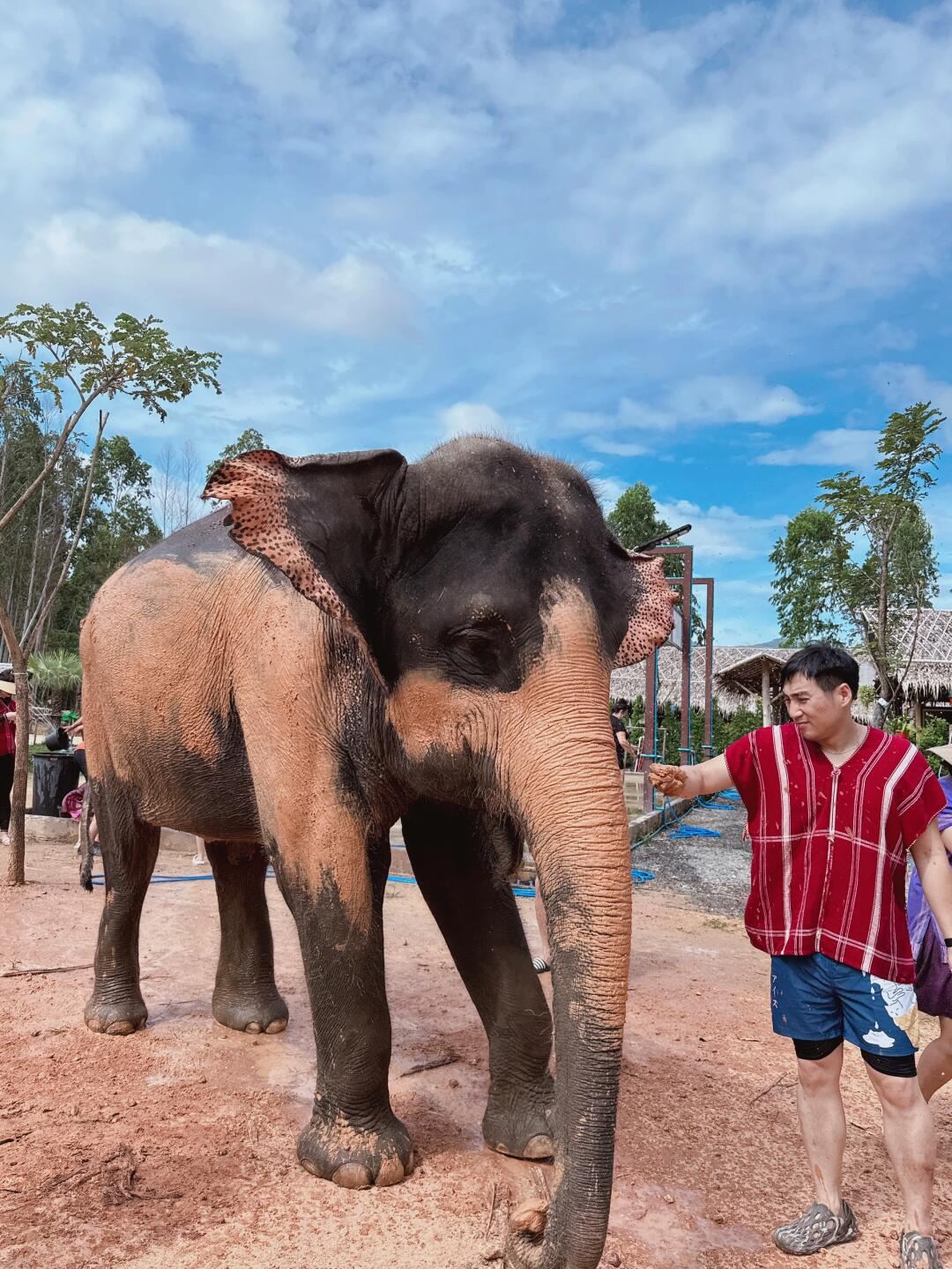 [Family Getaway] Phuket Mae Wang Kocho Elephant Camp: Half-Day Tour including close interaction, feeding, and bathing.