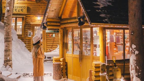 Hokkaido Asahiyama Zoo + Ningle Terrace + Shirahige Waterfall Day Tour|Includes zoo admission ticket