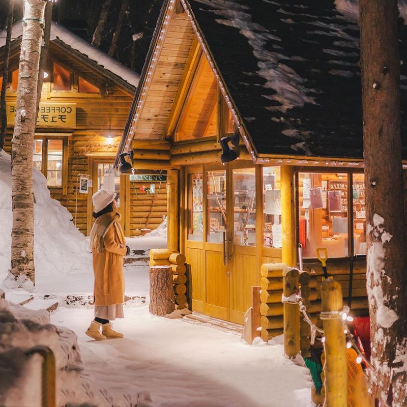 Hokkaido Asahiyama Zoo + Ningle Terrace + Shirahige Waterfall 1-day tour|Free Zoo Admission Tickets