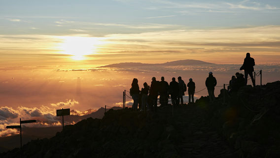 Santa Cruz de Tenerife