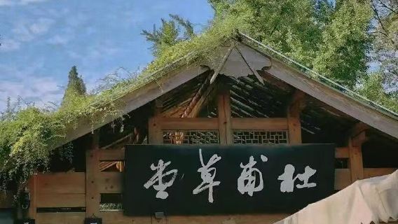 ChengduTravel Services