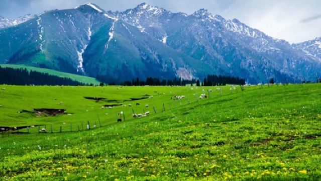 烏魯木齊南山牧場+天山天池一日遊【封頂8人小團】