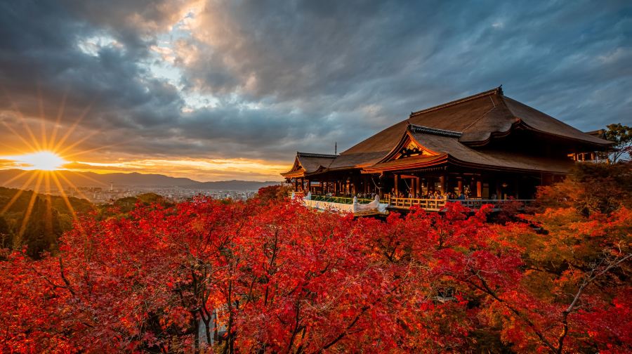 京都&宇治一日遊|金閣寺+清水寺+平等院+猴子神社+二三年坂