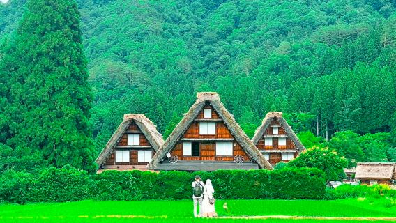 Excursión de un día a Takayama en Hida de tres estrellas Michelin + Aldeas históricas de Shirakawa-go y Gokayama, Patrimonio de la Humanidad | Ida y vuelta desde Nagoya