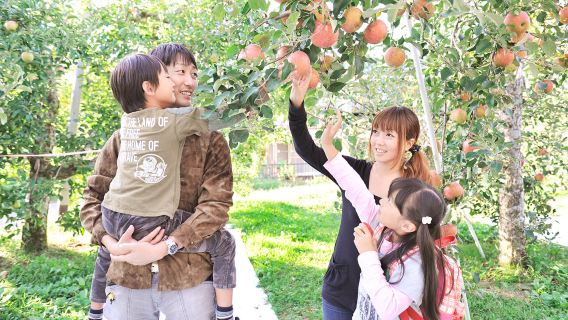Gunma Four Seasons Fruit Picking + Fukiwara Falls + Ikaho Onsen 1-day tour- seasonal exclusive Offer