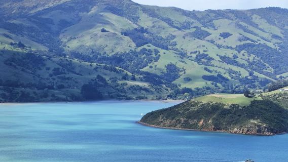 紐西蘭全境 專業翻譯|旅遊地陪|商務翻譯|展會翻譯|陪同拜訪|中英翻譯