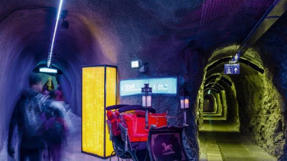 Switzerland Jungfraujoch - Top of Europe cable car & cogwheel train guided 1-day tour with optional Chinese guide 89719