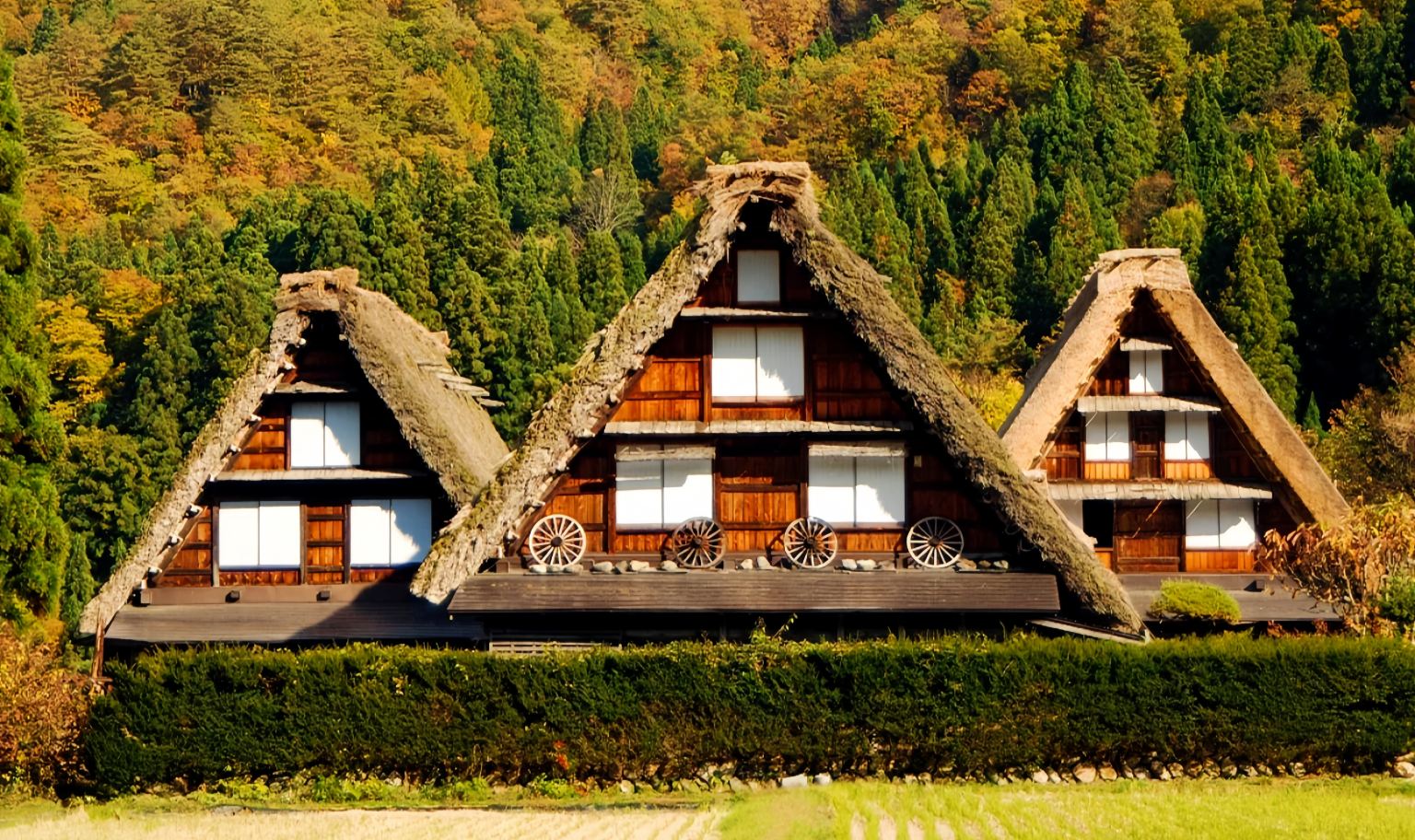 Shirakawa-go one-day tour
