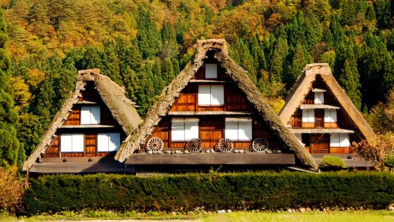 Nagoya Shirakawa-go Gassho Köyü · Hida Takayama Günübirlik Turu · Gizli Cennet Turu