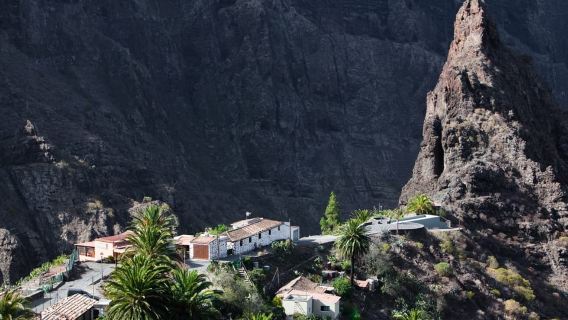 С юга Тенерифе: VIP-гранд-тур по острову Тенерифе