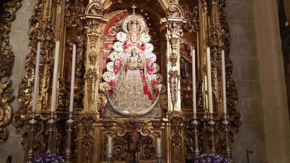 Séville : Église du Salvador, Casa Pilatos et visite du Metropol