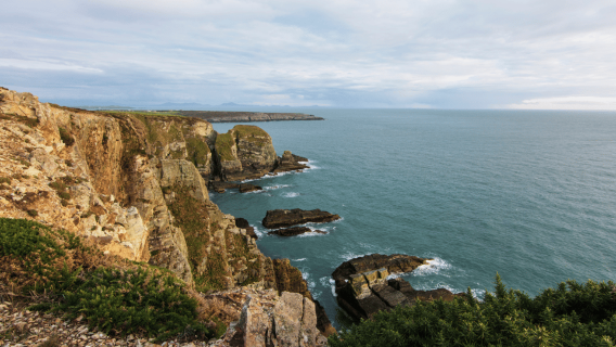 From London: North Wales, Snowdonia & Caernarfon Castle Tour