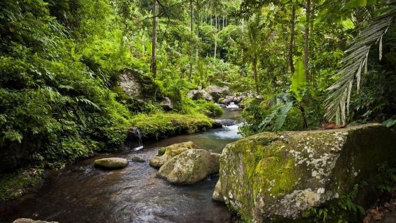 Bali: Pura Gunung Kawi & Tur Berpemandu UNESCO Pakerisan