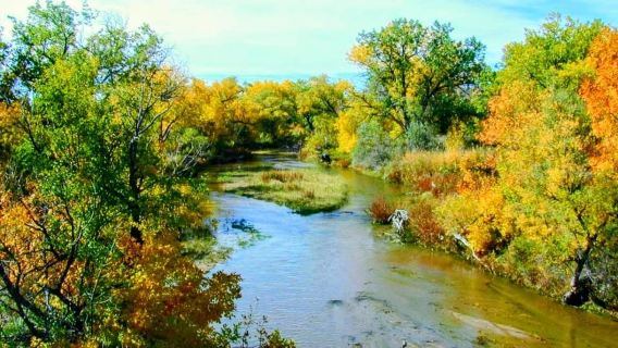 Vélo électrique et brasseries : visite de la rivière Platte et des brasseries de Denver en vélo électrique