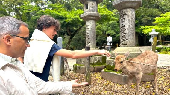Nara: Hike Mt. Wakakusa and Encounter Wild Free-Roaming Deer