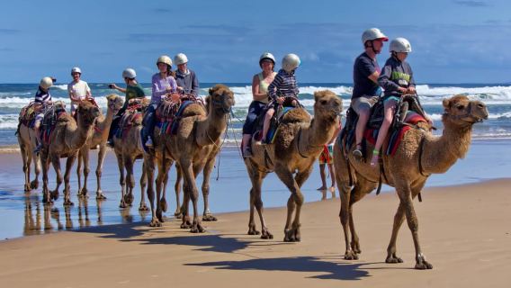 Sydney: Port Stephens Private Tour with Sandboarding