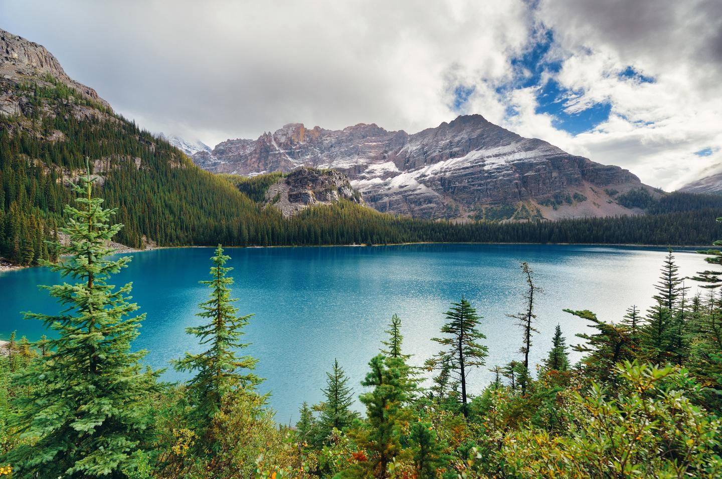 1-day tour of Bow Lake + Peyto Lake + Lake Louise Village in Banff National Park, Canada
