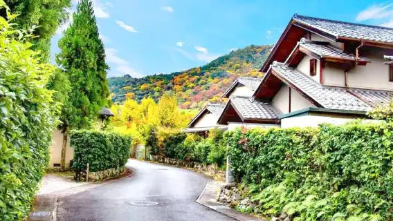 Kyoto/Osaka: Nara, Fushimi Inari Taisha, Arashiyama Bus Tour