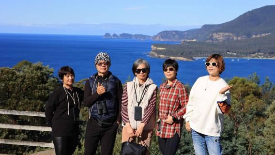 Geführte Tour in kleiner Gruppe zur Tasman-Halbinsel ab Hobart
