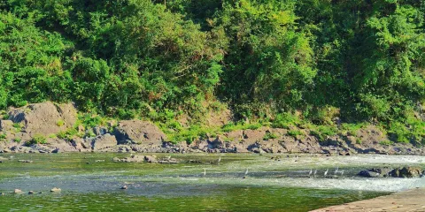 黃山陽產土樓+徽州古城+新安江山水畫廊包車一日遊可中英文服務