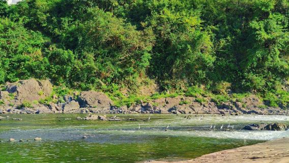 однодневный тур с индивидуальным трансфером по Хуаншань, деревне Янчан с земляными домами, древнему городу Хуэйчжоу и реке Синань с возможностью обслуживания на английском языке