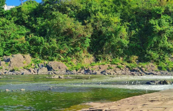黃山陽產土樓+徽州古城+新安江山水畫廊包車一日遊可中英文服務