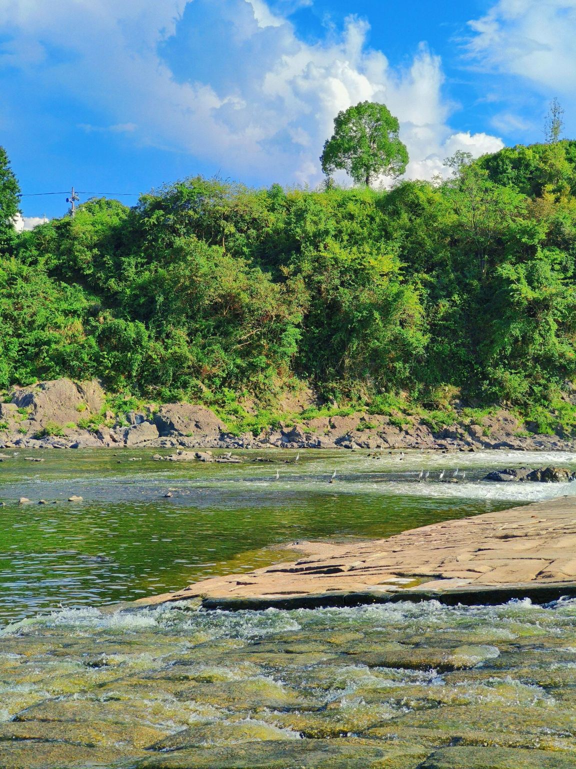 однодневный тур с индивидуальным трансфером по Хуаншань, деревне Янчан с земляными домами, древнему городу Хуэйчжоу и реке Синань с возможностью обслуживания на английском языке
