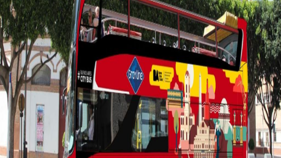 Buenos Aires hop-on hop-off bus: hop-on hop-off bed