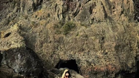 New Zealand Auckland + Muriwai Beach + Piha Beach + Sky Tower VIP Private Charter 1-day Tour