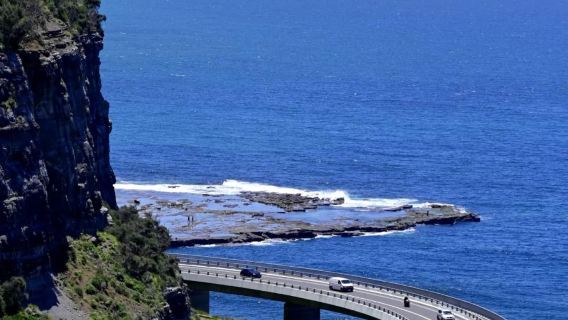 澳洲雪梨皇家國家公園+海崖大橋+傑維斯灣來回【中文專車】