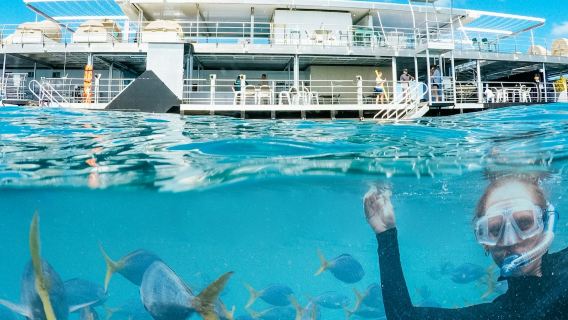 Great Barrier Reef: Pontonfahrt + Halb-U-Boot-Tour + Mittagsbuffet