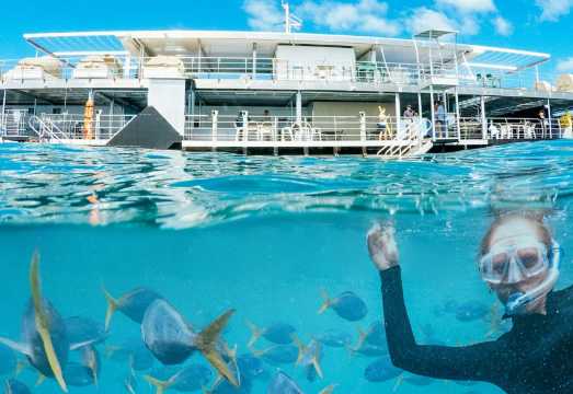 Great Barrier Reef: Pontoon Cruise + Semi-Submarine Tour + Buffet Lunch AUD 328.69
