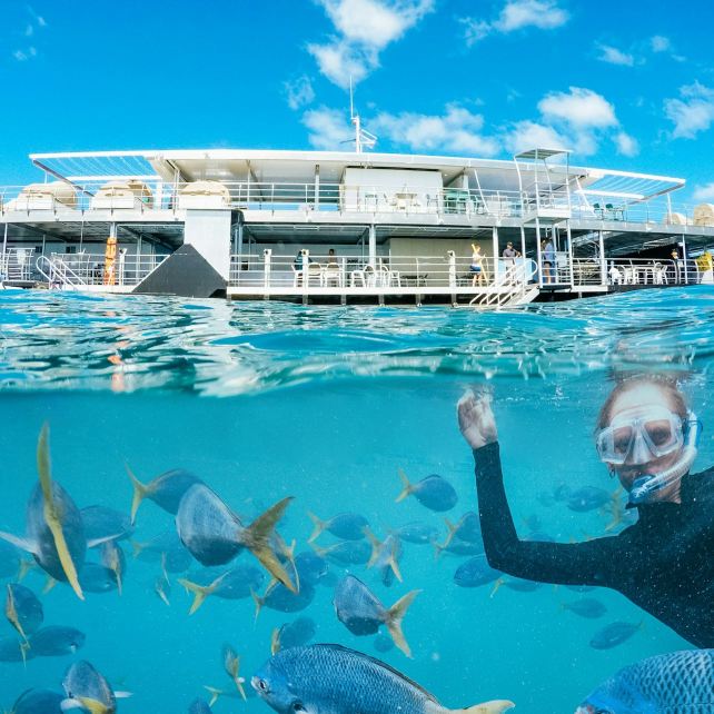 Great Barrier Reef: Pontoon Cruise + Semi-Submarine Tour + Buffet Lunch