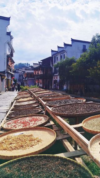 1-Day Private Charter Tour in Jiangxi: Shangrao Likeng + Shui Mo Shanghe Scenic Area + Jiangwan + Huangling (Chinese and English Services Available)