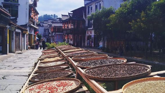 Excursion d'une journée en voiture avec chauffeur à Shangrao, Jiangxi : visite de Likeng, Shuishang Shanghe, Jiangwan et Huangling, service en anglais disponible