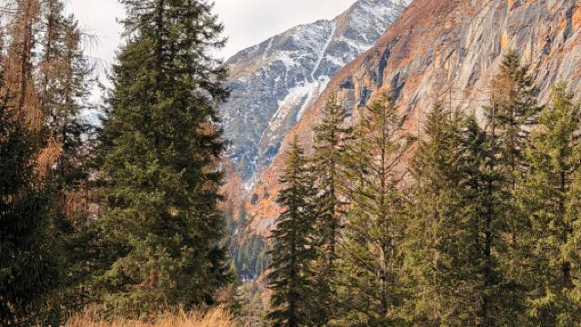 【私人導覽】四姑娘山雙橋溝一日遊【含景區觀光車】